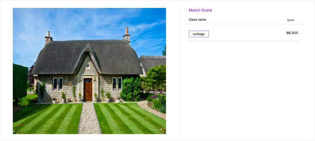 What Is Computer Vision Object Detection Vs. Object Recognition