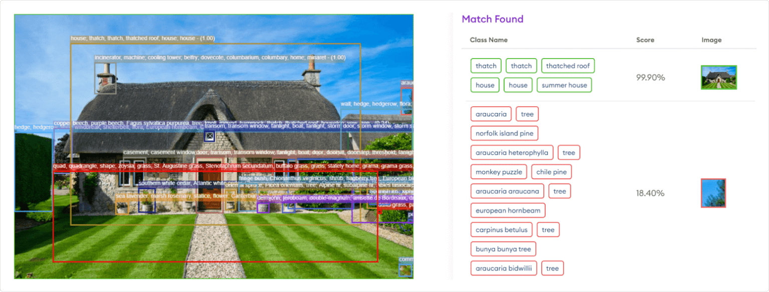 What Is Computer Vision Object Detection Vs. Object Recognition