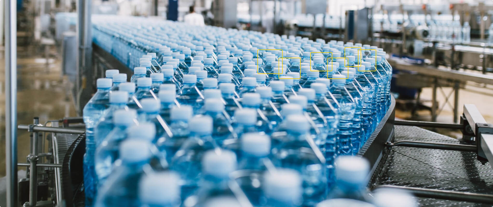 Production line bottles in plant