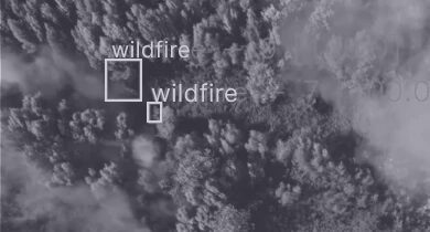 Image Recognition For Wildfires