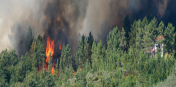 Wildfire Detection