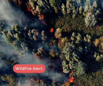 AI Detection of Wildfires