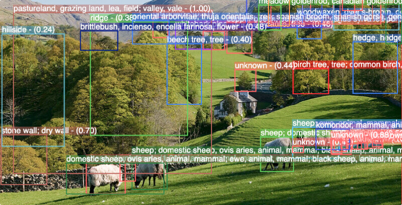 Livestock and Animal Detection