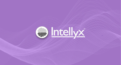 Intellyx